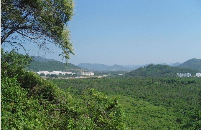 2042NN01131409.jpg